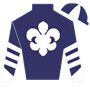 cowgirlie229 Silks