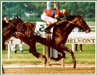 Belmont Finish