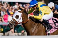 Hooh Why captures the 2009 Ashland over Stardom Bound