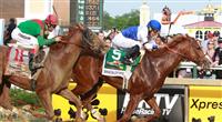 Shackleford wins 2011 Preakness Shackleford