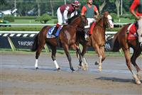 Desert Party before the Sanford at Saratoga