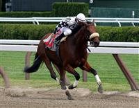 Immortal Eyes, Saratoga 2009