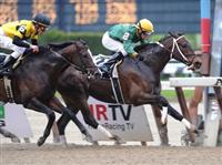 Dr. W wins Billy Redcoat Stakes at Aqueduct.