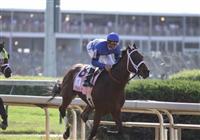 Tidal Pool with Calvin Borel up leads the field into the backstretch in The Kentucky Oaks at Churchill Downs. 04.30.2010