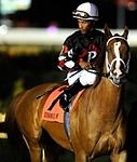 derwinstar