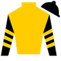 Arbouwkamp Silks
