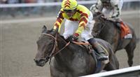 Turbulent Descent (no. 6), ridden by David Flores and trained by Michael Puype, wins the 86th running of the grade 1 Test Stakes for three year old fillies on August 6, 2011 at Saratoga Race Track in Saratoga Springs, New York. (Bob Mayberger/Eclipse Sportswire) 