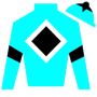 papillon Silks