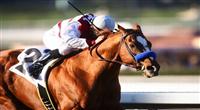 22 January 2011: Euroears and Mike Smith win the Palos Verdes.Stakes at Santa Anita Park, Arcadia, CA.