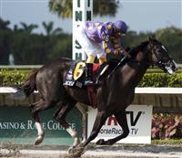 Jackson Bend and jockey Jeffrey Sanchez win the Florida Stallion Stakes at Calder