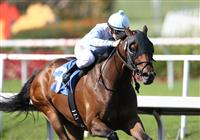 Ball Four captures the Mervyn LeRoy at Hollywood
