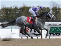 Flashpoint breaks maiden at Aqueduct (1-15-11).