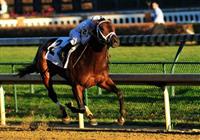 28 November 2009: Calvin Borel and Super Saver take the 83rd running of the G2 Kentucky Jockey Club stakes at Churchill Downs in Louisville, Kentucky.