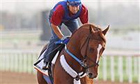 curlin276