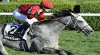 Turallure (no. 2), ridden by Julien Leparoux and trained by Charles Lopresti, wins the 53rd running of the grade 2 Bernard Baruch Handicap for three year olds and upward on August 26, 2011 at Saratoga Race Track in Saratoga Springs, New York. (Bob Mayberger/Eclipse Sportswire) 