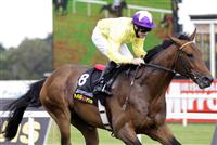 Sea the Stars and Mick Kinane run away with the Irish Champion Stakes - 2009