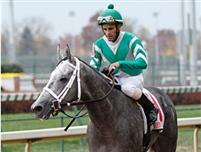 Yankee Fourtune