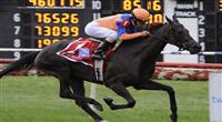 Stacelita (no. 1), ridden by Ramon Dominguez and trained by Chad Brown, wins the 22nd running of the grade 1 Beverly D. Stakes for fillies and mares three years old and upward on August 13, 2011 at Arlington Park in Arlington Heights, Illinois. (Bob Mayberger/Eclipse Sportswire) 