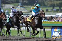 Apr 4, 2009: Pioneerof the Nile under Garret Gomez wins the Santa Anita Derby, Arcadia, California. 