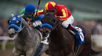 Drill, with jockey Martin Garcia aboard wins the 2012 San Vicente Stakes at Santa Anita Park in Arcadia California on February 18, 2012. 
