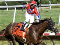 Swift Temper wins the Delaware Handicap
