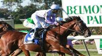 Al Khali with Julien Leparoux u,p power down the stretch in the 52nd edition of the Gr. II Bowling Green Handicap at 1 3/8 mile, 3-year old & up, Belmont Park, Elmont, NY. Trainer William Mott. Owners Brous Stable, Wachtel Stable.