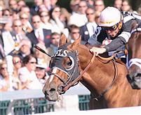 Uptowncharlybrown in the Coolmore Lexington 2010
