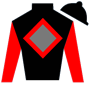 CeliaEardley Silks
