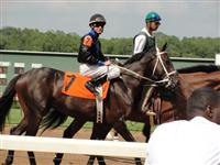 September 15, 2009: Speightstown Son in post parade for Sunny's Halo Stakes at Louisiana Downs. 