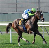 Nicanor wins at Belmont Park (9-24-10)