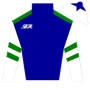BrittanyHamilton Silks