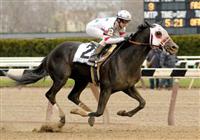 4 April 2009: Jockey Joe Talamo guides I Want Revenge to victory in the Wood Memorial Stakes at Aqueduct Race Track in Jamaica, New York.