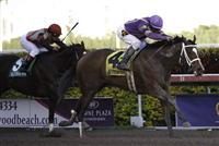 Sacristy(4) with Kent Desormeaux up getting by Say A Novena(2) on her way to winning the Old Hat Stakes(G3) at Gulfstream Park. Hallandale Beach, Florida. 01-01-2012 