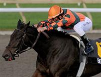 Biofuel winning the 2009 Mazarine Stake at Woodbine.