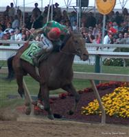 Afleet Alex with Jeremy Rose winning 2005 Preakness