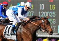 7 November 2009: Goldikova (f) with O. Preslier up (#11) takes the Million Breeder's Cup Turf Mile at Oak Tree at Santa Anita in Arcadia California.
