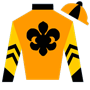 ivanlsardi Silks
