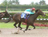 Motovato wins Sumter Stakes for second year in a row.