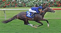 July 20, 2011.Mr. Commons ridden by Mike Smith in the stretch before winning the Oceanside Stakes on opening day, Del Mar thoroughbred Club, Del Mar California 