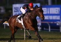 29 November 2009: The Usual Q.T. and Victor Espinoza win the Hollywood Derby at Hollywood Park, Inglewood, CA. 