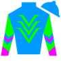 turfqueen Silks