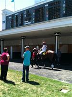 Medaglia Strikes