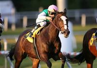 28 November 2009: Ventura and Garrett Gomez win the Matriarch at Hollywood Park, Inglewood, CA.