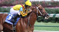 Kantharos winning the 2010 Bashford Manor