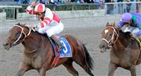 Kodiak Kowboy wins Cigar Mile