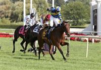 21 August 2010: ECLAIR DE LUNE and Jockey Junior Alvarado winning the 21st running of the G1 Beverly D at Arlington Park in Arlington Heights, Illinois.