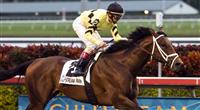 Quality Road wins Hal's Hope