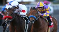 Kettle Corn beats Tres Borrachos in 2011 Native Diver Handicap at Hollywood Park. 