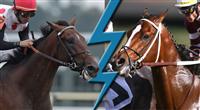 Tapizar vs. To Honor and Serve