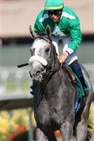 Alfarabi breaks his maiden at Del Mar